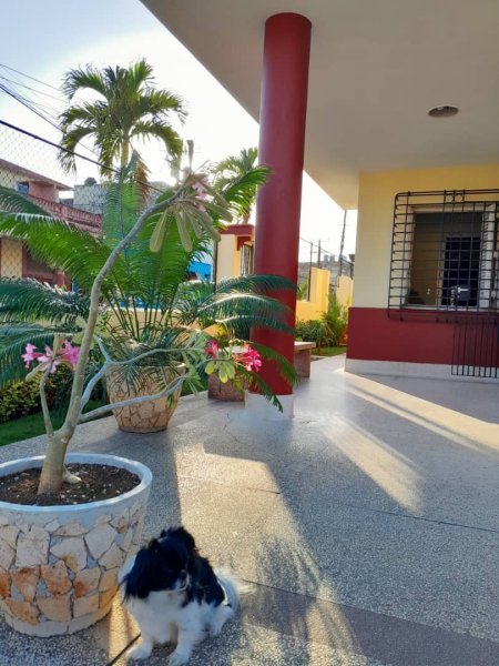 Duplex with 5 bedrooms for exchange in Miramar, Playa, La Habana - 11