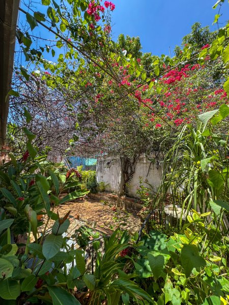 Detached House with 4 bedrooms for sale in Playa, La Habana - 3