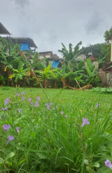 Detached House with 4 bedrooms for sale in Marianao, La Habana - 3