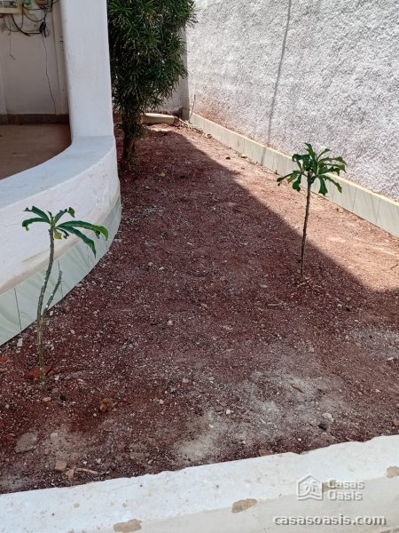 Casa Colonial de 6 habitaciones en venta en Playa, La Habana - 15
