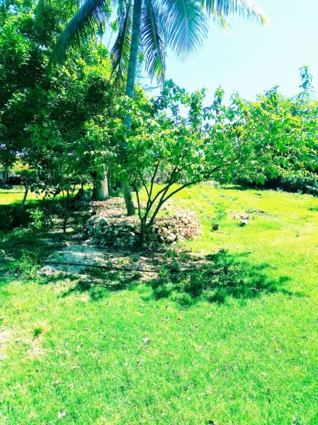 Casa Independiente de 3 habitaciones en venta en Fundición, Cárdenas, Matanzas - 16