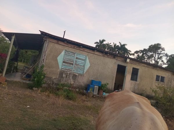 Casa de Campo de 2 habitaciones en venta en Santa Cruz del Norte, Mayabeque - 14