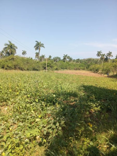 Casa de Campo de 2 habitaciones en venta en Santa Cruz del Norte, Mayabeque - 20