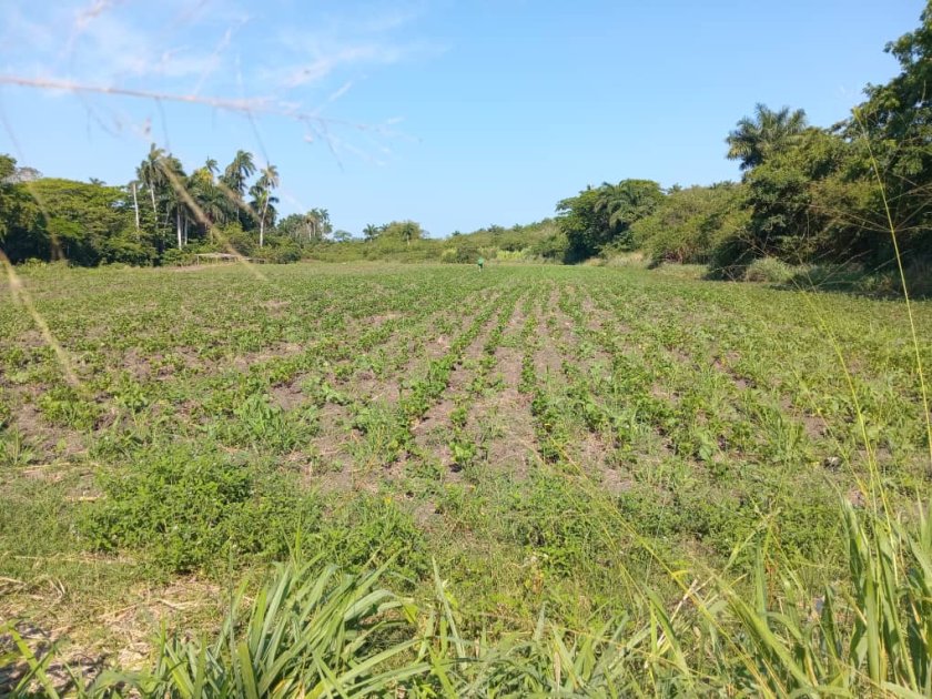 Casa de Campo de 2 habitaciones en venta en Santa Cruz del Norte, Mayabeque