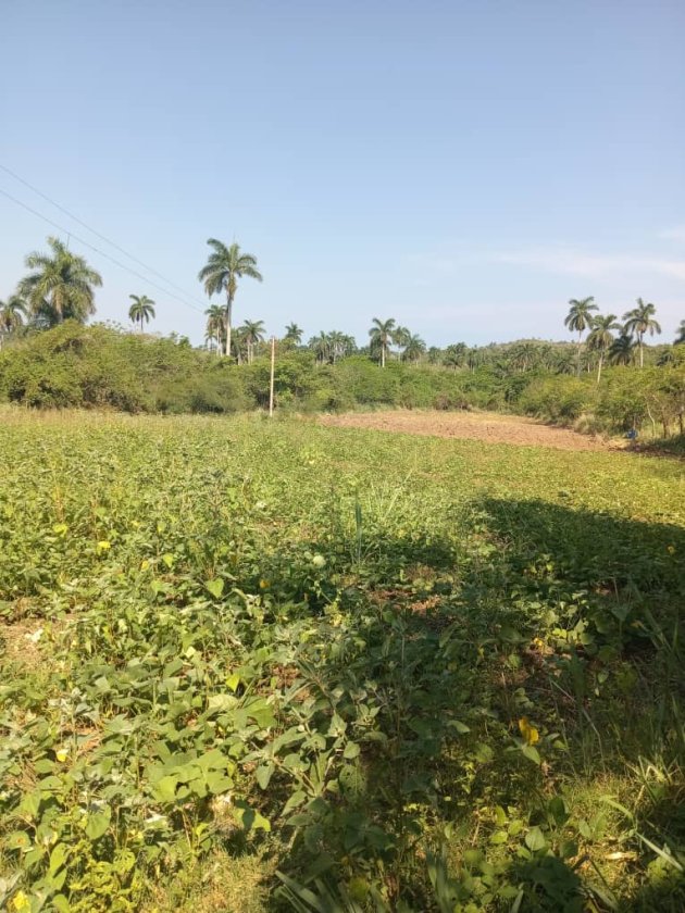 Casa de Campo de 2 habitaciones en venta en Santa Cruz del Norte, Mayabeque
