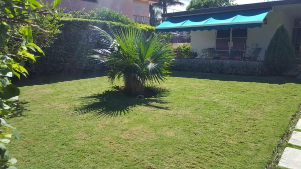 Detached House with 5 bedrooms for exchange in Miramar, Playa, La Habana - 17