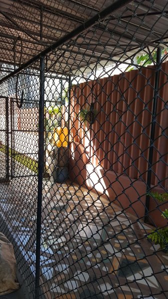 Detached House with 5 bedrooms for exchange in Miramar, Playa, La Habana - 18
