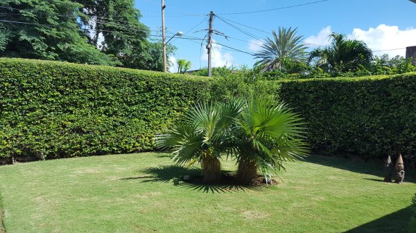Detached House with 5 bedrooms for exchange in Miramar, Playa, La Habana - 2