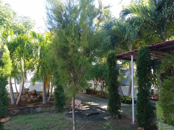 Casa de 3 habitaciones en venta en Playa, La Habana - 5