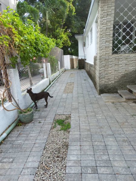 House with 3 bedrooms for sale in Colón - Nuevo Vedado, Plaza de la Revolución, La Habana - 8