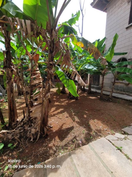 Casa Colonial de 5 habitaciones en venta en Vedado - Malecón, Plaza de la Revolución, La Habana - 7