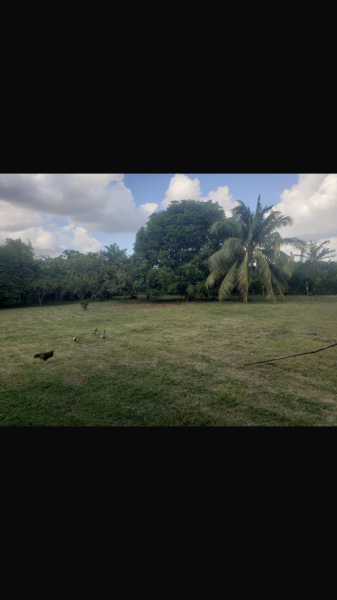 House with 2 bedrooms for sale in Valle Grande, La Lisa, La Habana - 11