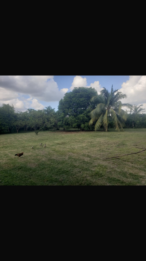 House with 2 bedrooms for sale in Valle Grande, La Lisa, La Habana