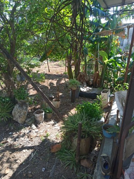Detached House with 3 bedrooms for sale in Santa Fe, Playa, La Habana - 3
