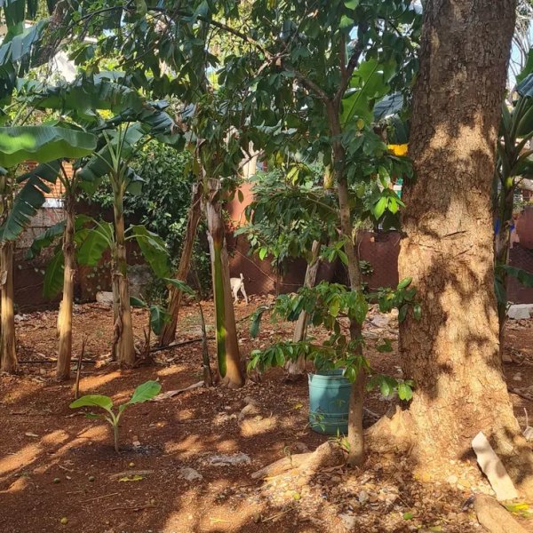 House with 4 bedrooms for sale in Cojímar, Habana del Este, La Habana