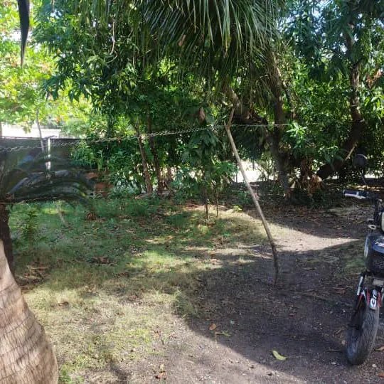 House with 3 bedrooms for sale in Bello 26, La Lisa, La Habana - 5