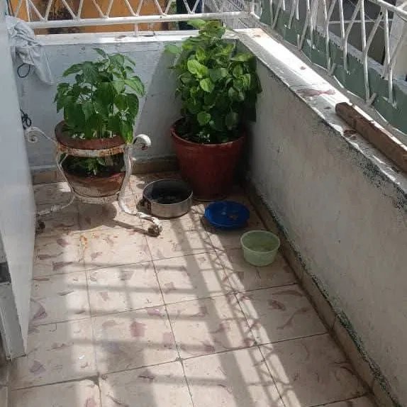 Apartamento de 3 habitaciones en venta en Casino Deportivo, Cerro, La Habana - 2