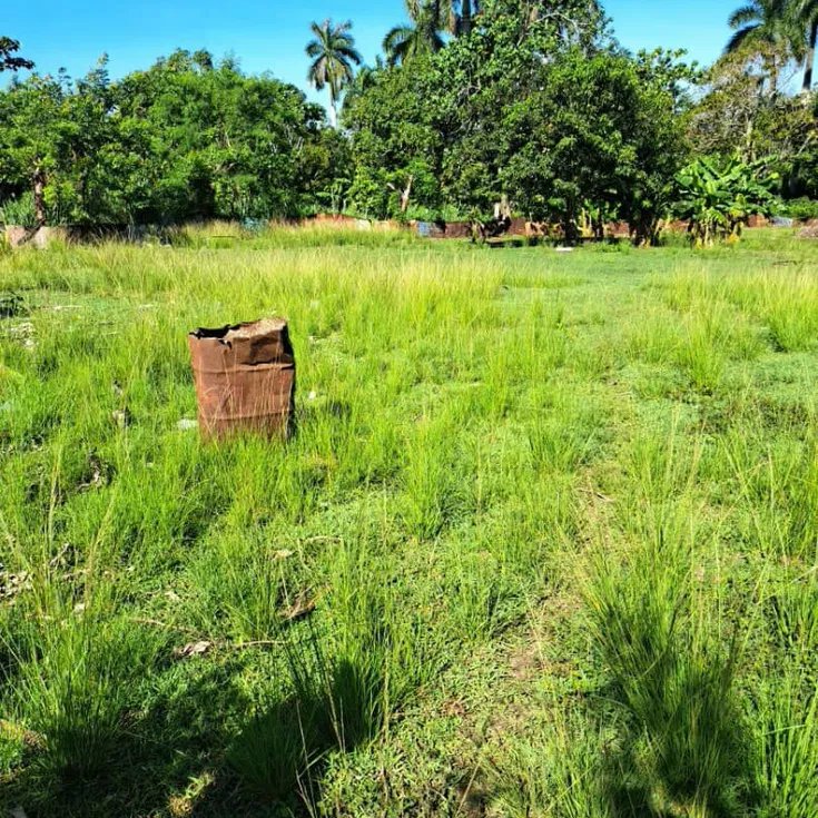 Casa de Campo de 1 habitación en venta en Arroyo Naranjo, La Habana