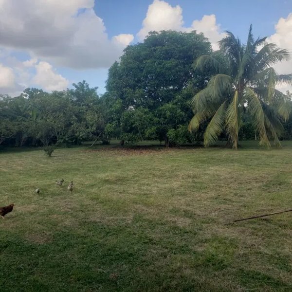 Casa de 2 habitaciones en venta en Valle Grande, La Lisa, La Habana - 7