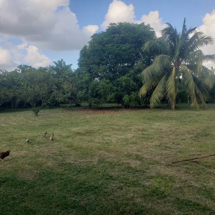 House with 2 bedrooms for sale in Valle Grande, La Lisa, La Habana