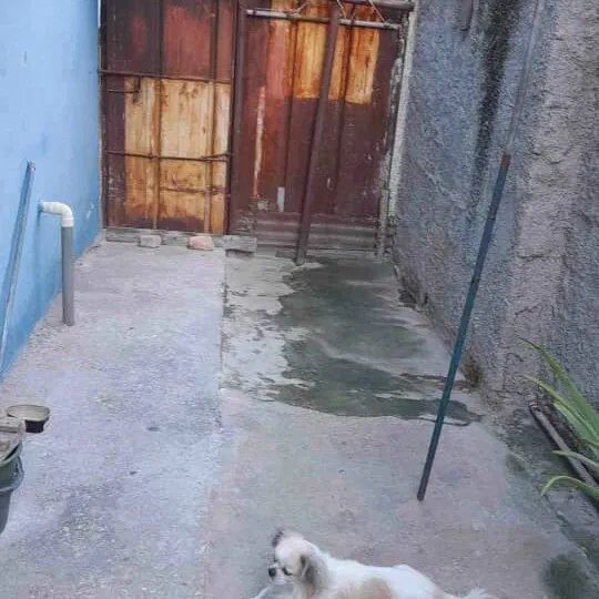 Duplex with 2 bedrooms for sale in Cotorro, La Habana