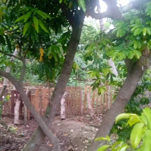 Casa de 3 habitaciones en venta en Camagüey - 4