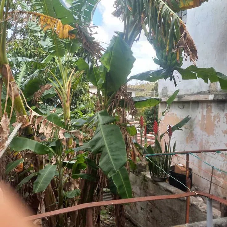 Duplex with 2 bedrooms for sale in Naranjo, Guanabacoa, La Habana
