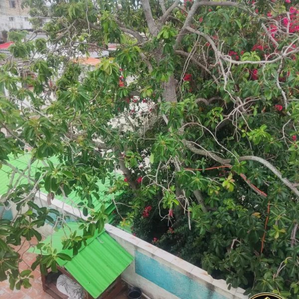 House with 3 bedrooms for sale in La Lisa, La Habana - 3