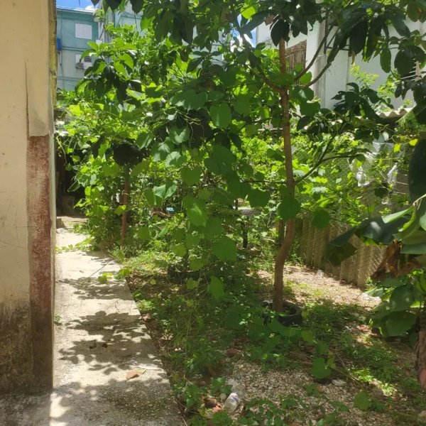 Apartamento de 2 habitaciones en venta en Roble, Guanabacoa, La Habana - 8