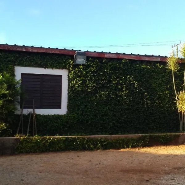 House with 2 bedrooms for sale in Playa Baracoa, Bauta, Artemisa - 8