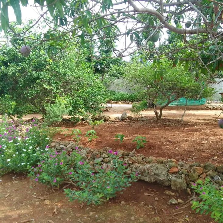 House with 2 bedrooms for sale in Playa Baracoa, Bauta, Artemisa