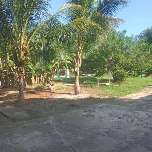Country House with 2 bedrooms for sale in El Chico, Boyeros, La Habana - 9