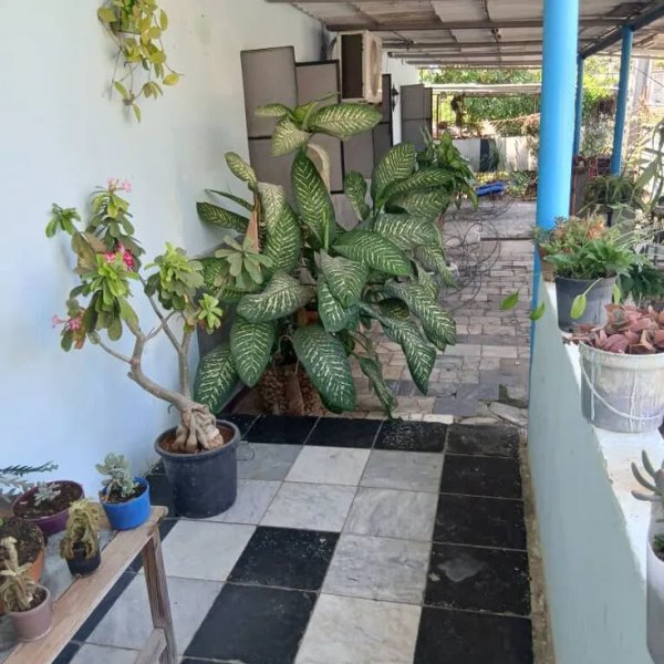 Casa de 5 habitaciones en venta en Los Pocitos, Marianao, La Habana - 6