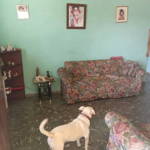 Apartment with 3 bedrooms for exchange in Los Pinos, Arroyo Naranjo, La Habana - 3