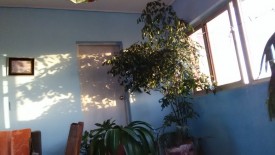 Apartamento de 3 habitaciones en venta en Vedado, Plaza de la Revolución, La Habana - 3