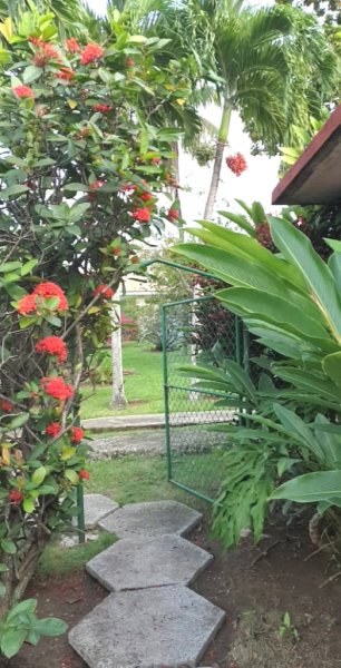 Detached House with 5 bedrooms for sale in Altahabana, Boyeros, La Habana - 4
