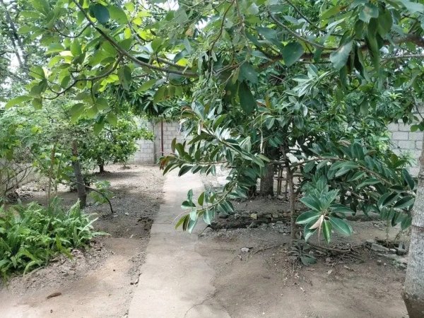 Chalet with 2 bedrooms for sale in Holguín - 7