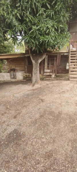 Casa de 3 habitaciones en venta en Arroyo Naranjo, La Habana - 3