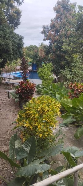 Casa de 3 habitaciones en venta en Arroyo Naranjo, La Habana - 8