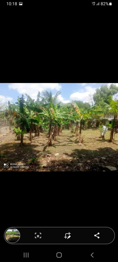 Casa de 3 habitaciones en venta en Arroyo Naranjo, La Habana