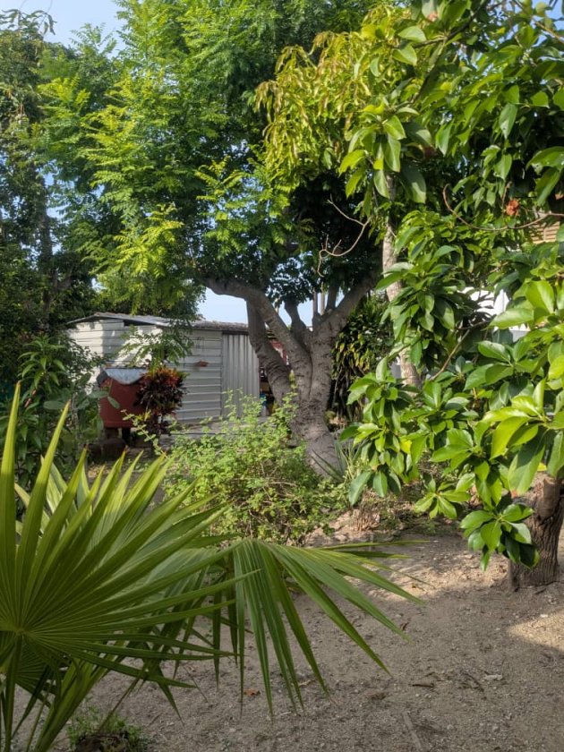 Detached House with 6 bedrooms for sale in Guanabo, Habana del Este, La Habana