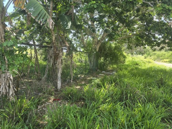 Land for sale in Santa María del Mar, Habana del Este, La Habana - 2