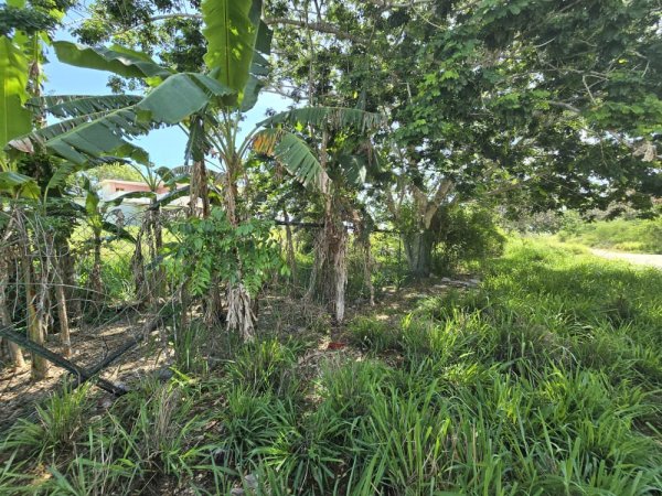 Land for sale in Santa María del Mar, Habana del Este, La Habana - 5