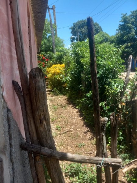 House with 3 bedrooms for sale in Máximo Gómez, Chambas, Ciego de Ávila - 10