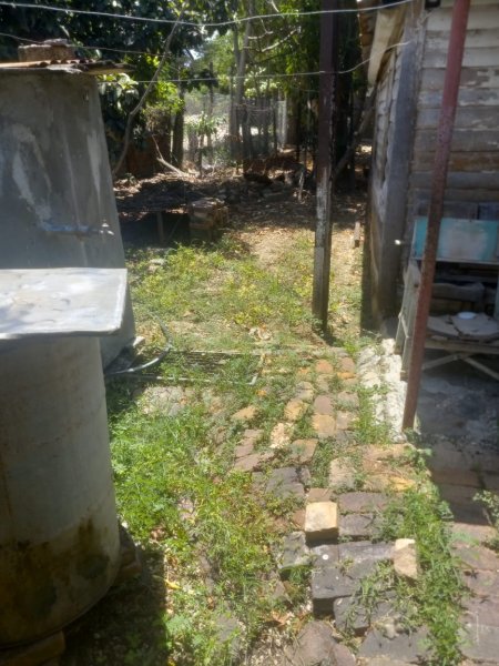 House with 3 bedrooms for sale in Máximo Gómez, Chambas, Ciego de Ávila - 4