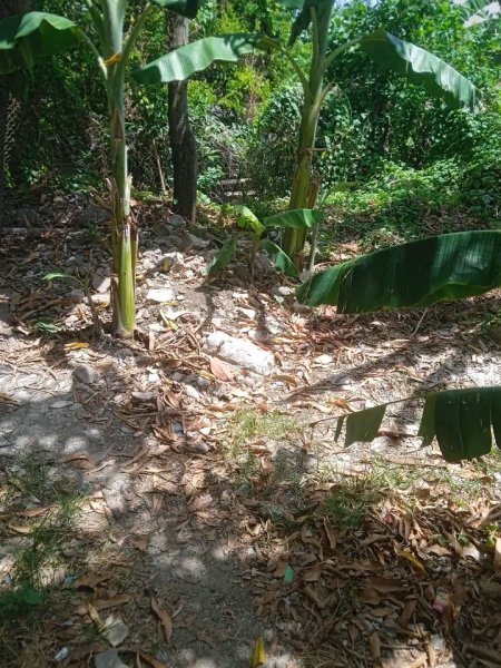 House with 4 bedrooms for sale in Vista Alegre, Santiago de Cuba - 10