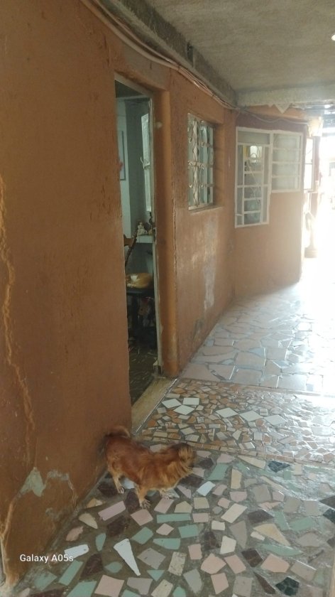 Apartamento de 3 habitaciones en venta en Centro Habana, La Habana