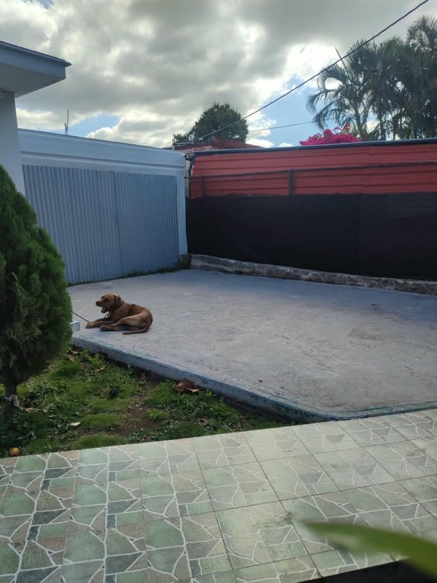 Detached House with 2 bedrooms for sale in Chibás, Guanabacoa, La Habana