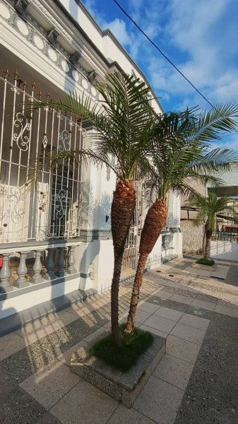 Detached House with 4 bedrooms for sale in Lawton, Diez de Octubre, La Habana - 18