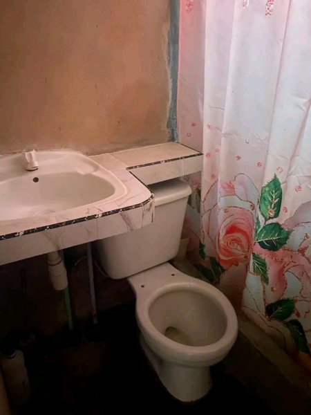 House with 3 bedrooms for sale in Buena Vista, Las Tunas - 6